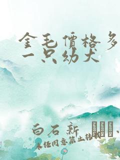 金毛价格多少钱一只幼犬