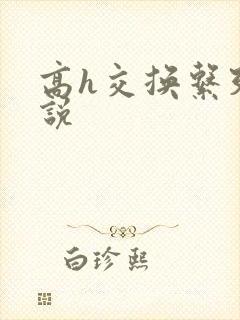 高h交换系列小说
