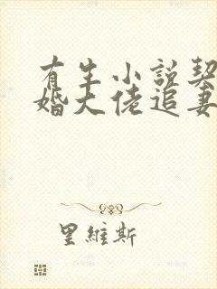 有生小说契约闪婚大佬追妻不择手段