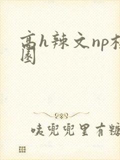 高h辣文np校园