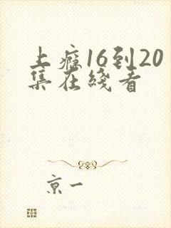 上瘾16到20集在线看