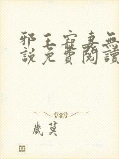 邪王宠妻无度小说免费阅读 邪王宠妻无度小说免费阅读