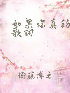 如果你真的爱我歌词 如果你真的爱我歌词