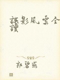 谍影风云全集阅读