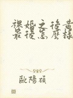 裸婚之后黄一琳最后怎么样了