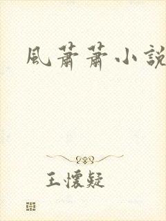 风萧萧小说