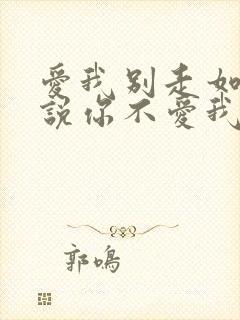 爱我别走如果你说你不爱我什么歌