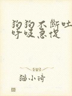 狗狗不断吐舌头呼吸急促 狗狗不断吐舌头呼吸急促