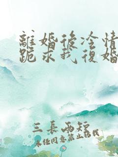离婚后冷情前夫跪求我复婚舒婉商赫大结局 离婚后冷情前夫跪求我复婚舒婉商赫大结局
