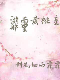 湖南黄桃产地在哪里