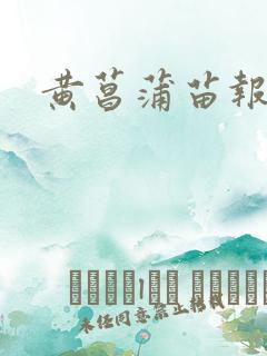 黄菖蒲苗报价