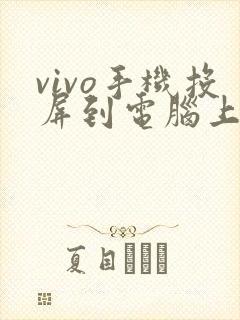 vivo手机投屏到电脑上的软件