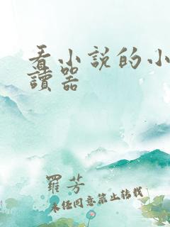 看小说的小说阅读器