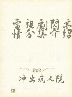 电视剧闪亮爱剧情分集介绍