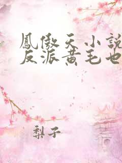 凤傲天小说里的反派黄毛也想幸福