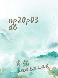 np20p03d6