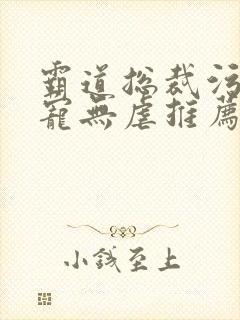 霸道总裁污文甜宠无虐推荐