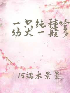 一只纯种哈士奇幼犬一般多少钱