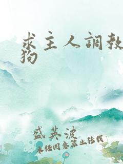 求主人调教骚母狗