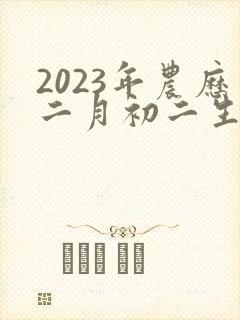 2023年农历二月初二生辰八字