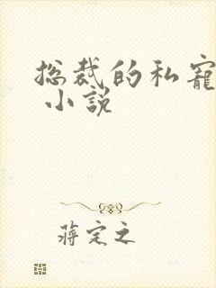 总裁的私宠甜妻 小说 总裁的私宠甜妻 小说