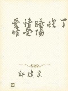 爱情睡醒了沐之晴受伤