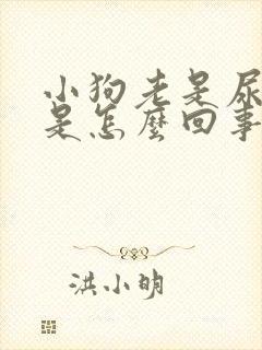 小狗老是尿,这是怎么回事