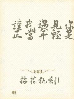 让我遇见你而你正当年轻是什么歌