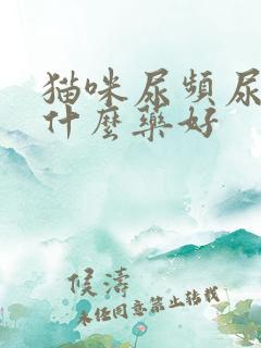 猫咪尿频尿血吃什么药好