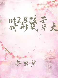 nt2.8孩子畸形几率大吗