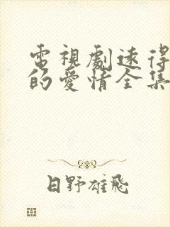 电视剧远得要命的爱情全集免费播放