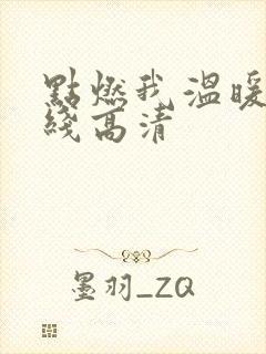 点燃我温暖你在线高清