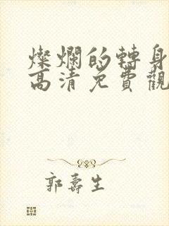 灿烂的转身短剧高清免费观看