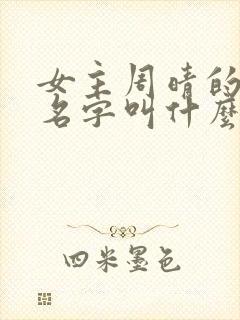 女主周晴的小说名字叫什么