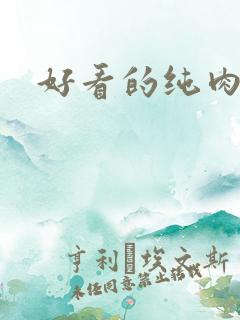 好看的纯肉小说