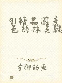 91精品国产黑色丝袜美腿