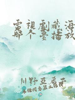 电视剧藏海传在哪个台播放 电视剧藏海传在哪个台播放