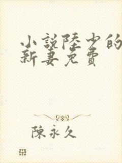 小说陆少的暖婚新妻免费