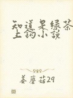 知道是绿茶也会上钩小说