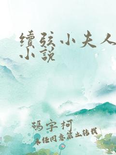 续弦小夫人全文小说