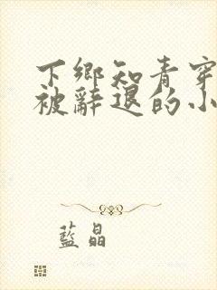 下乡知青穿七零被辞退的小说