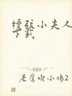 续弦小夫人全本下载