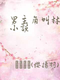 男主角叫林墨的小说
