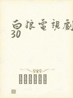 白狼电视剧全集30 白狼电视剧全集30