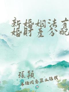 新婚姻法有关再婚财产分配