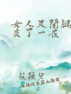 女人叉开腿让我爽了一夜