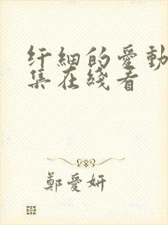 纤细的爱动漫全集在线看