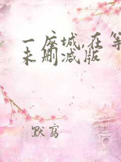 一座城,在等你未删减版