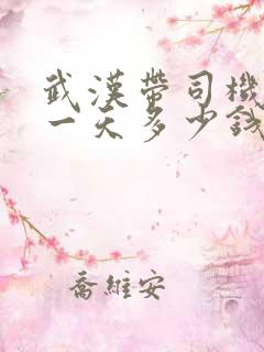武汉带司机包车一天多少钱