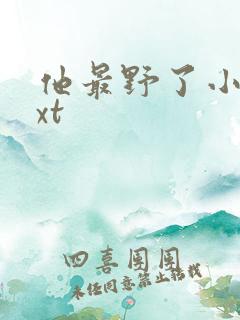 他最野了小说txt 他最野了小说txt